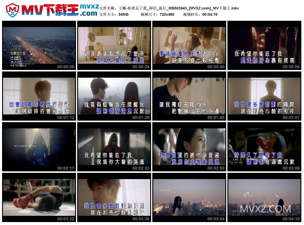 王晰-你要忘了我_国语_流行_MB503943